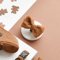 Papillon Teddy - Paddington