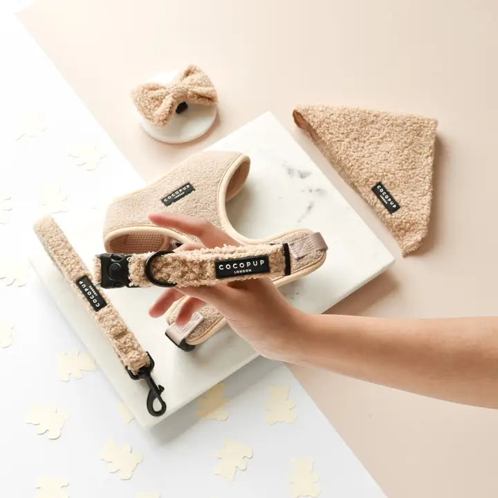 Guinzaglio + Collare  Teddy Beige