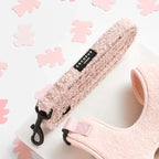 Guinzaglio + Collare  Teddy ROSA