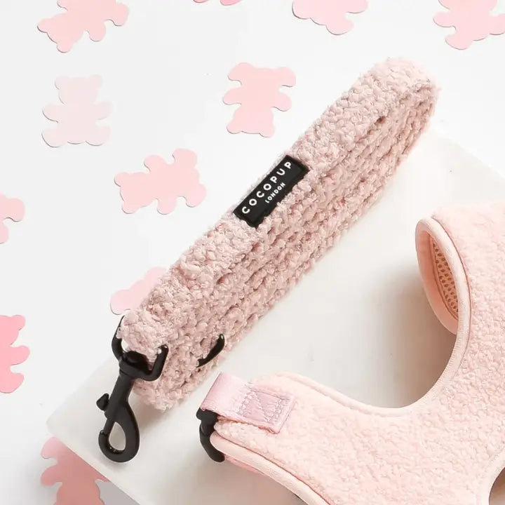 Guinzaglio + Collare  Teddy ROSA