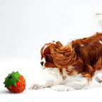 Gioco Fragola in Gomma Naturale