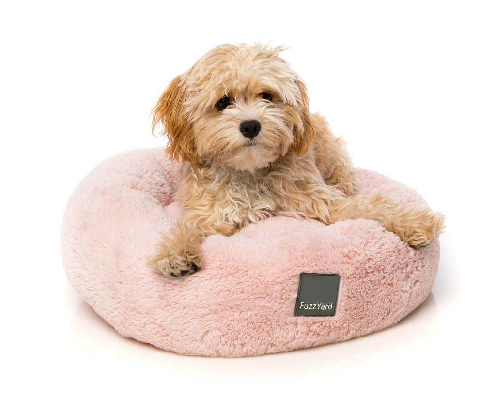 Cuccia Bed Lotus Beige