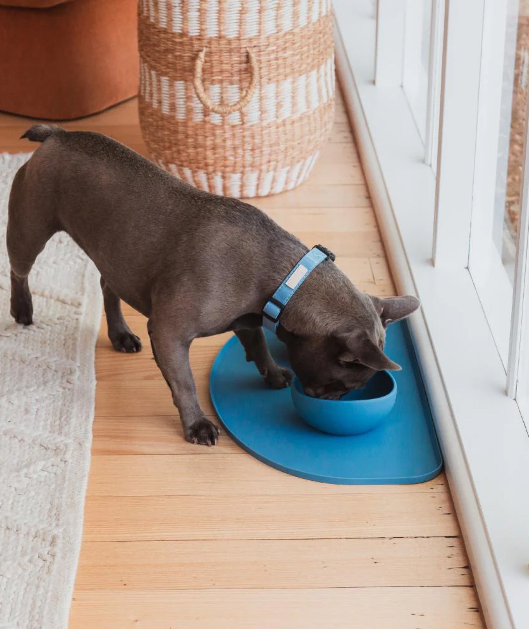 Tappetino in silicone per la pappa