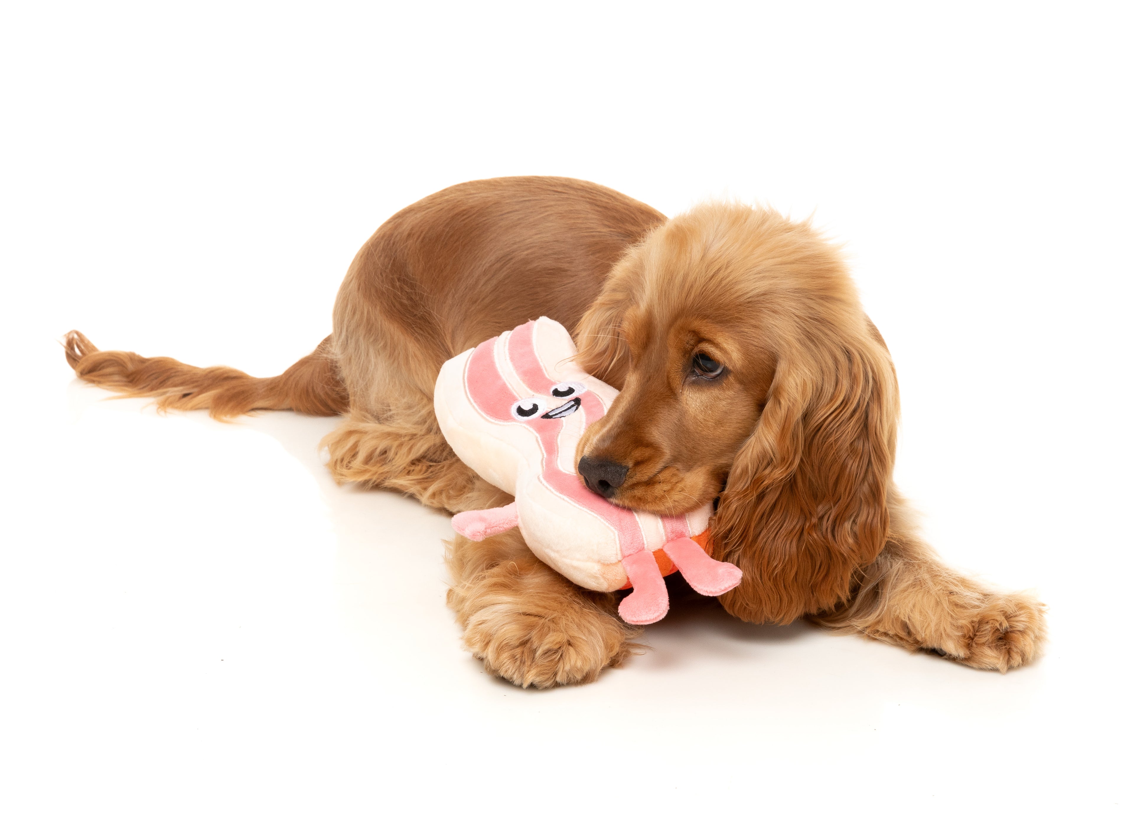 Meat Heads - Kevin Bacon-Strip