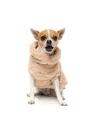 TURTLE TEDDY - DESERT