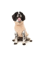 TURTLE TEDDY - DESERT