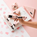 Guinzaglio + Collare  Teddy ROSA