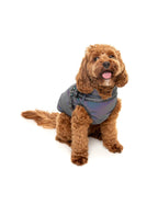 Giacca Con pettorina Reflective