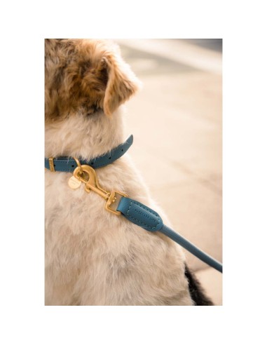 Guinzaglio in corda - Dog Lead