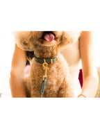 Guinzaglio in corda - Dog Lead