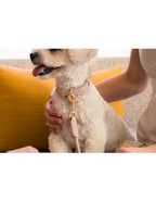 Guinzaglio in corda - Dog Lead