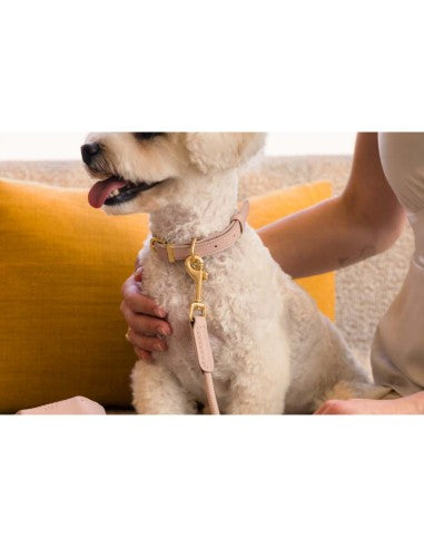 Guinzaglio in corda - Dog Lead