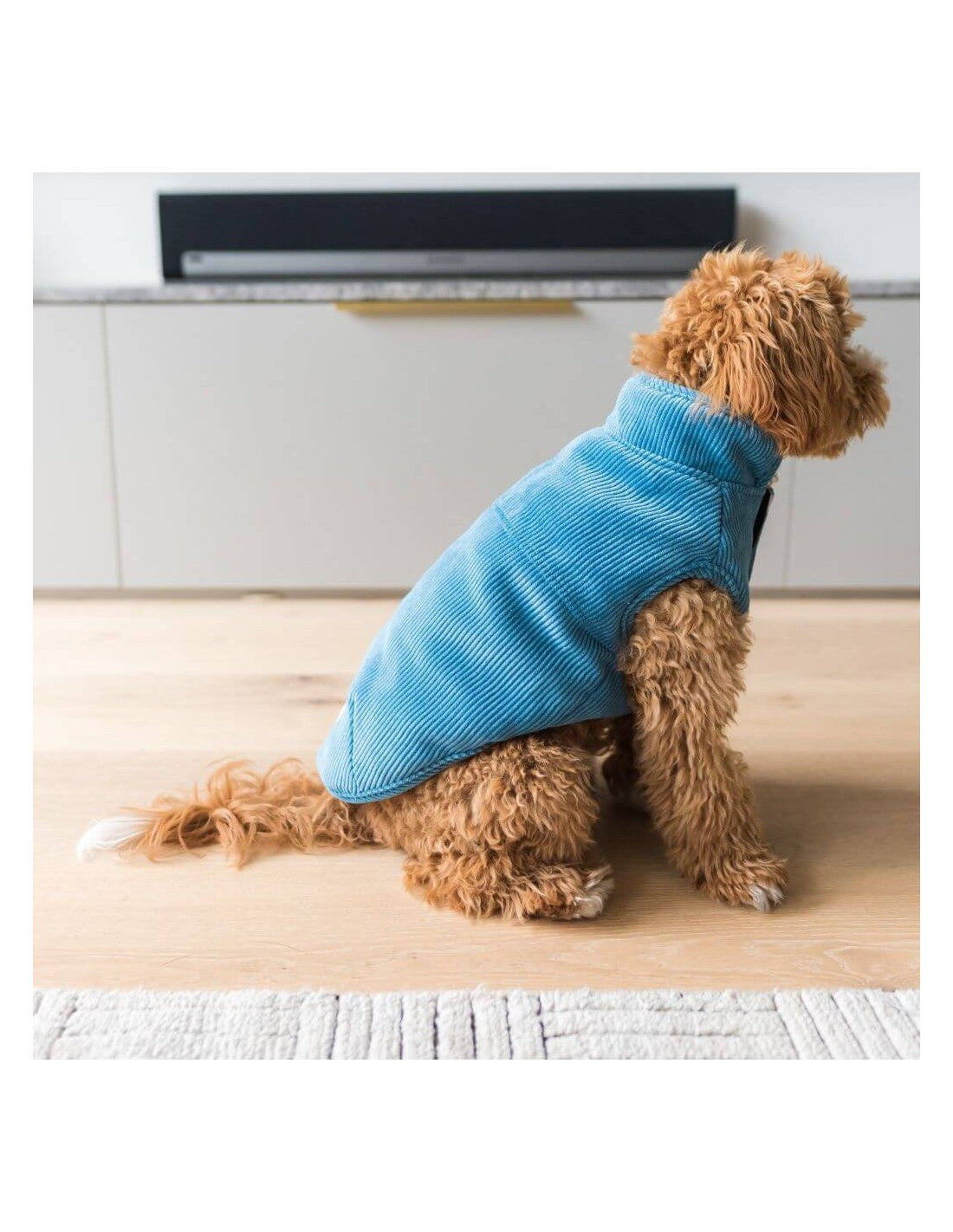 Giacca in Velluto a coste