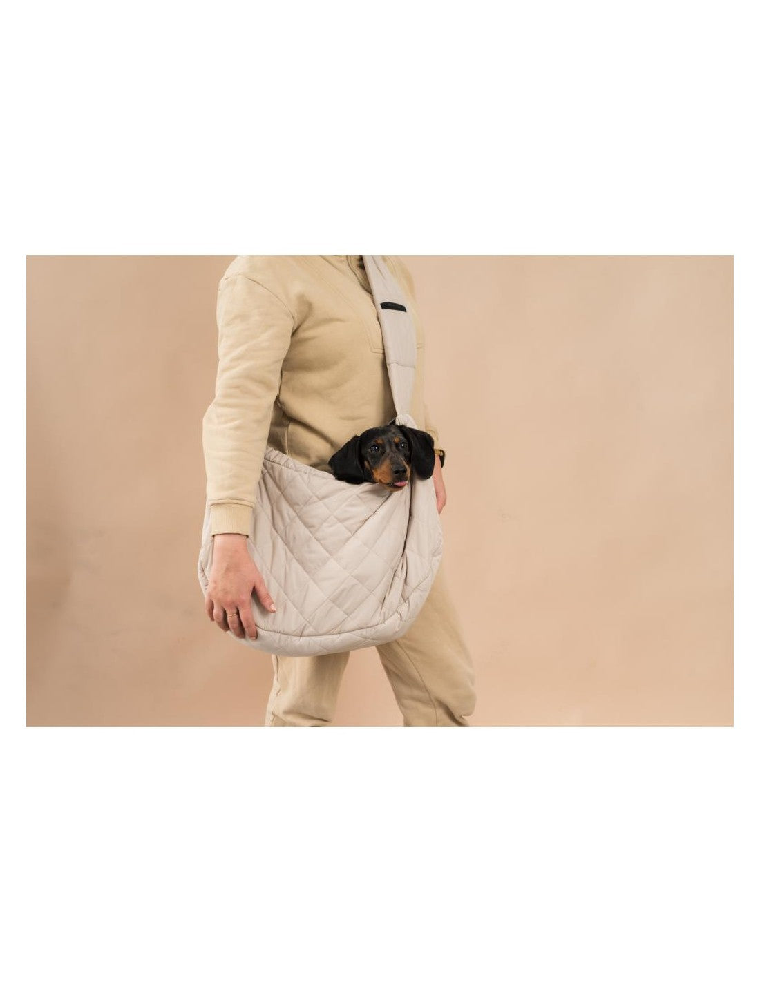 Trasportino a Spalla