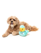 Gioco  - Ducks  Ducktor