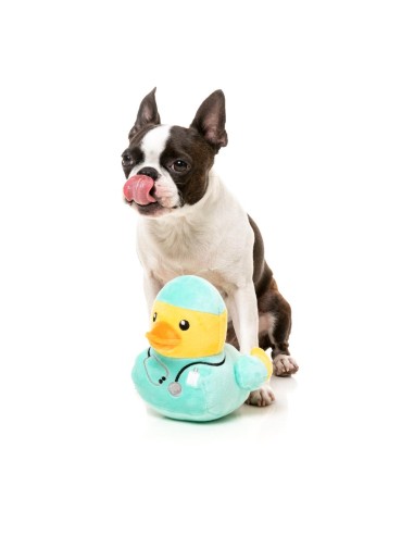 Gioco  - Ducks  Ducktor