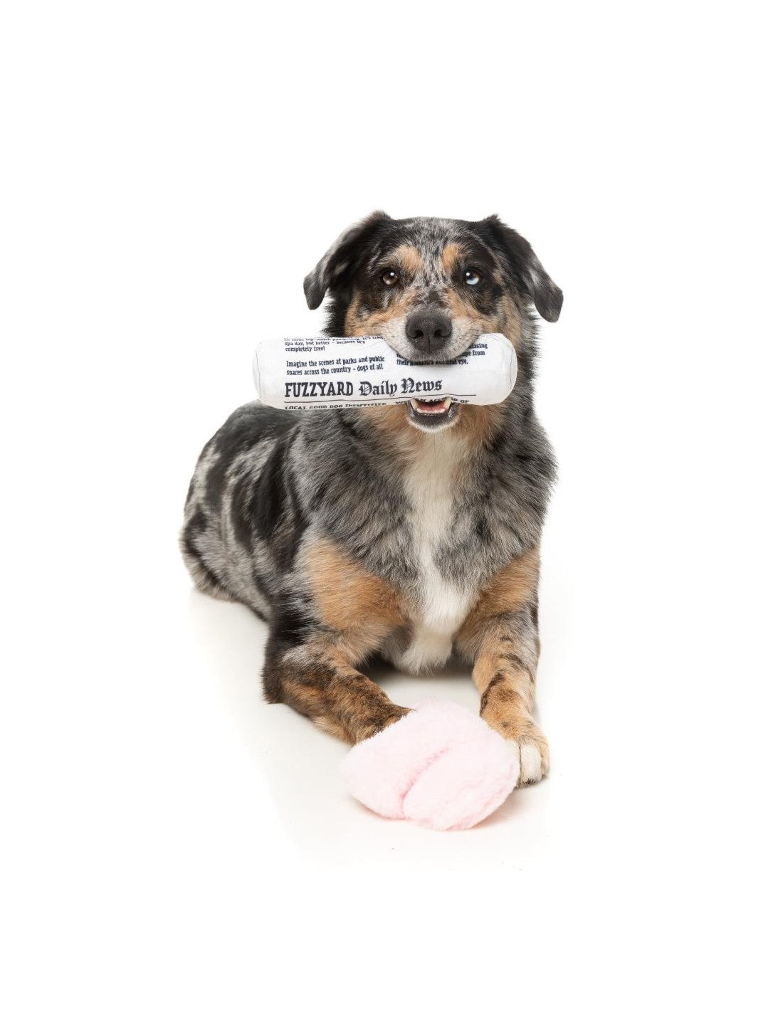 Giocattolo – Coppia Perfetta – Portami le Pantofole e il Giornale (confezione da 2)