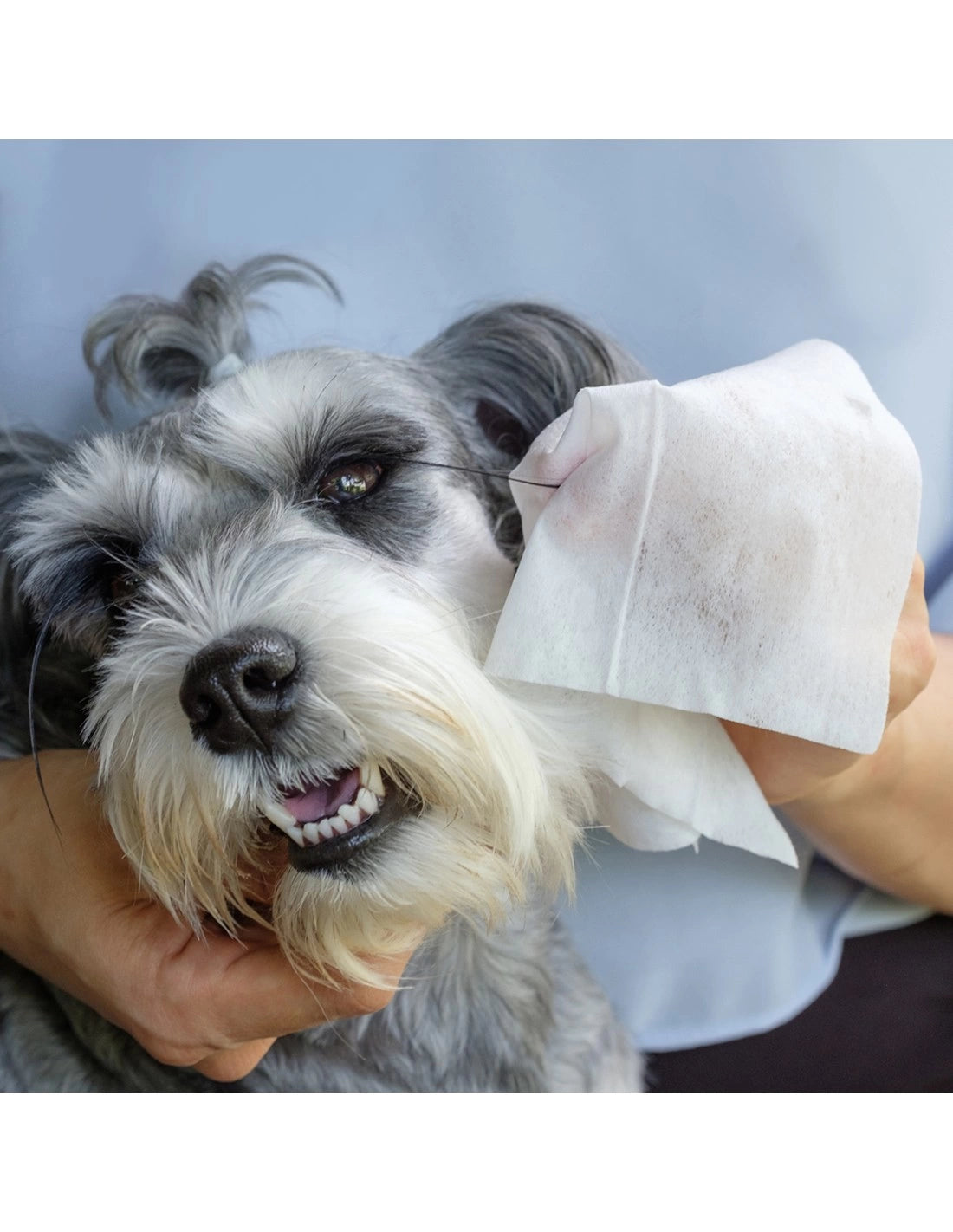 Salviette igienizzanti cani e gatti 40 pezzi